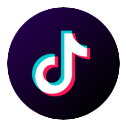 Instagram Icon